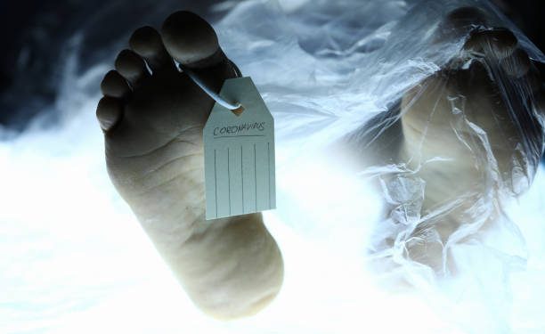 गाडीले ठक्कर दिंदा भक्तपुरमा एक जनाको मृत्यु